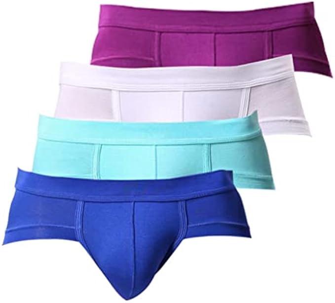 TKFDC 4pcs Briefs Men Underpants Modal Male Lingerie Comfortable Men's Slips Panties Brief Bulge Pouch Plain Underwear Man (Color : Multi-Colored, Size : Euro M Asia XL)
