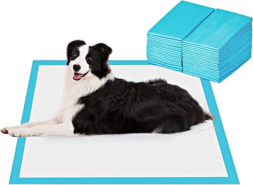 BESTLE Extra Large Pet Training and Puppy Pads Pee Pads for Dogs 28"x34" -40 Count Super Absorbent & Leak-Proof
